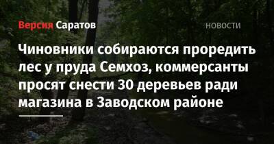 Чиновники собираются проредить лес у пруда Семхоз, коммерсанты просят снести 30 деревьев ради магазина в Заводском районе