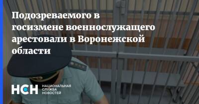 Подозреваемого в госизмене военнослужащего арестовали в Воронежской области