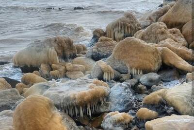 Побережье Азовского моря покрылось льдом