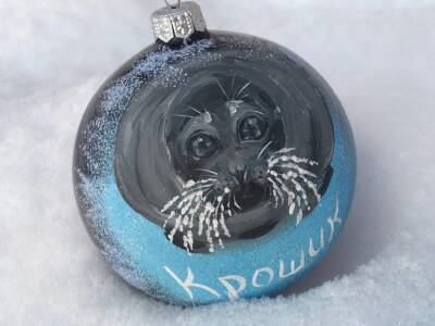 Портрет петербургского тюленя Крошика украсил ёлочные шары