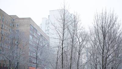 Снегопады и «барическую пилу» принесет в Москву в ночь на субботу циклон «Квинтинус»