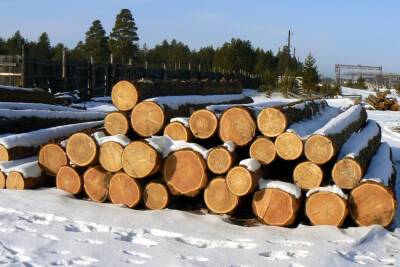 Мораторий на экспорт древесины следует сохранить, но ввести аукционы по продаже – Федерация работодателей