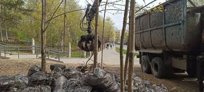 Власти Петрозаводска нашли компании, которые будут убирать несанкционированные свалки