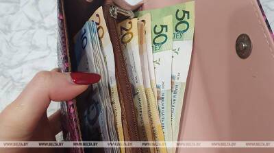 Средняя зарплата в Беларуси в ноябре составила Br1476,3