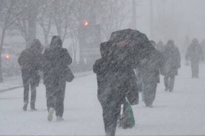 МЧС предупредило рязанцев о сильном ветре и метели 25 декабря