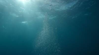 Ученые показали одного из самых жутких обитателей морских глубин и мира