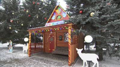 В столичном парке имени Горького гостей встречает Дед Мороз