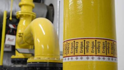 В ФРГ семь энергокомпаний обанкротились из-за роста цен на газ