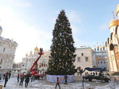 Кремль закупил новогодние елки "супер-премиум класса" за 3 млн рублей