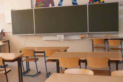 Минобразования: школьников в Новгородской области не станут отпускать на досрочные каникулы