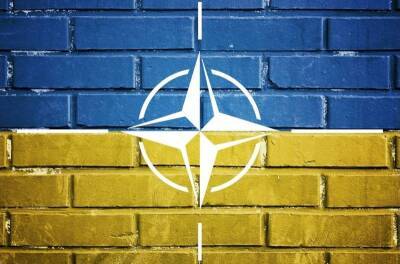 На Украине предложили поставить России три условия невступления Киева в НАТО