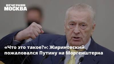 «Что это такое?»: Жириновский пожаловался Путину на Моргенштерна