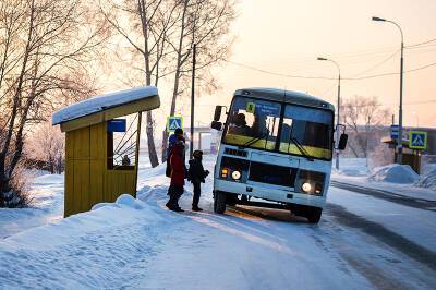 В Подмосковье можно будет заказать автобус на остановку