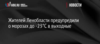 Жителей Ленобласти предупредили о морозах до -23°C в выходные