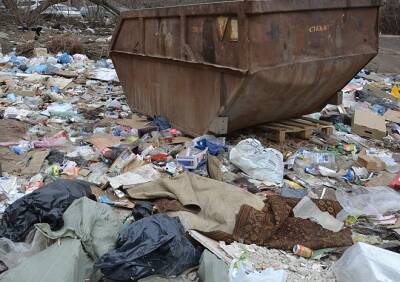 В Рязанской области на 3,8% вырастет плата за вывоз мусора