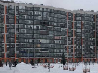 Видео: спасателей на квартирный пожар в Мурино пришлось вызывать очевидцу - ivbg.ru - Украина