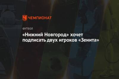 «Нижний Новгород» хочет подписать двух игроков «Зенита»