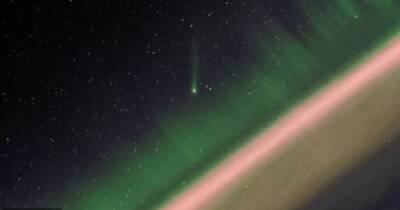 Комета Леонарда впервые за 70 тыс. лет прошла рядом с Землей (видео)