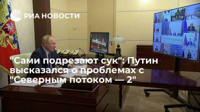 Президент Путин заявил, что европейские противники "Северного потока — 2" поступают глупо