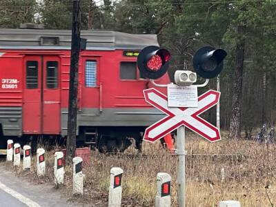 В Алтайском крае семь человек пострадали в ДТП с товарным поездом и автобусом