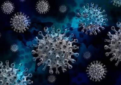 Ученые обнаружили «подпольный» путь передачи коронавируса