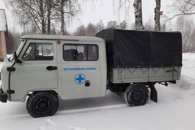 Дезинфекционная установка для борьбы с распространением АЧС появилась в Псковской области