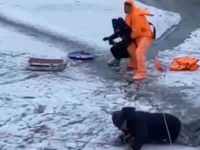 На озере в Киеве женщина провалилась под лед во время катания на коньках