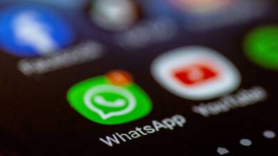Член ОП Малькевич предложил запретить чиновникам использовать WhatsApp