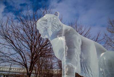 В Новосибирске к Новому году создали скульптуру водяного тигра