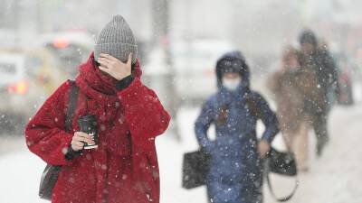 МЧС объявило экстренное предупреждение в Москве из-за снегопада