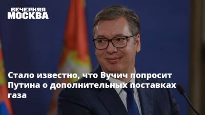 Стало известно, что Вучич попросит Путина о дополнительных поставках газа