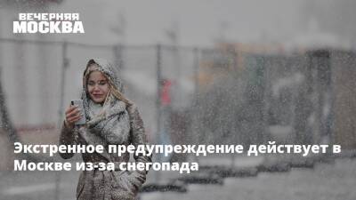 Экстренное предупреждение действует в Москве из-за снегопада