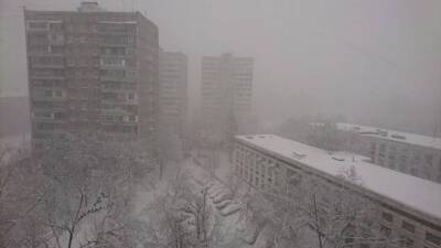 Москва снежная: российскую столицу накрыл мощный циклон «Квинтинус»