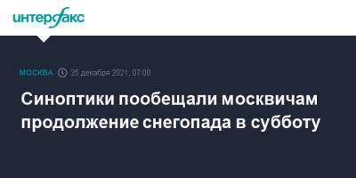 Синоптики пообещали москвичам продолжение снегопада в субботу - interfax.ru - Москва - Россия - Москва