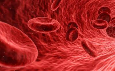 Учёные: У людей с четвёртой группой крови на 82% чаще остальных развивается слабоумие