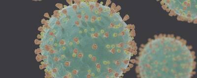 Коронавирус научился уклоняться от антител благодаря распространению между клетками