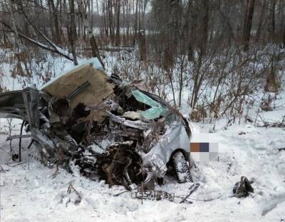 Водитель Nissan погиб в ДТП с грузовиком на трассе под Новосибирском