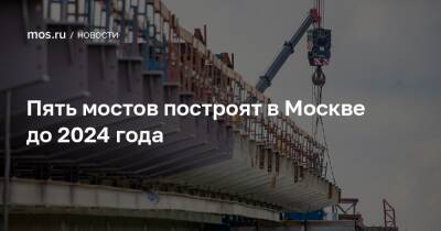 Пять мостов построят в Москве до 2024 года