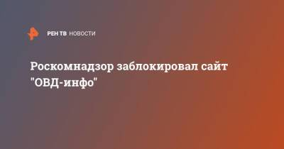 Роскомнадзор заблокировал сайт "ОВД-инфо" - ren.tv - Московская обл.