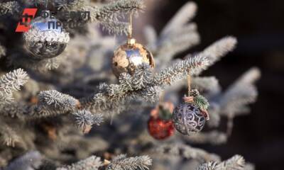 Какие украшения на елку принесут счастье и удачу в новом году: советы экстрасенса