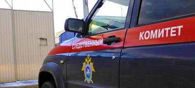 Жительница Петрозаводска при обыске у нее на квартире ударила следователя