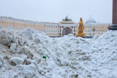 «В Москве — идеально». Знаменитости возмущены уборкой снега в Петербурге