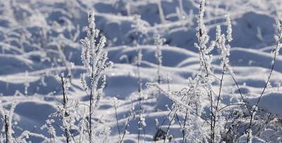Снег и до -14°С ожидается в Беларуси 25 декабря
