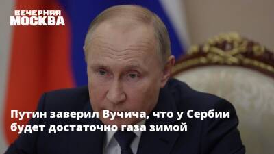 Путин заверил Вучича, что у Сербии будет достаточно газа зимой