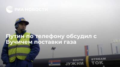 Пресс-служба Вучича: Путин заверил, что у Сербии будет достаточно газа зимой