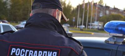 Количество преступлений в Петрозаводске в два раза превышает показатели по России
