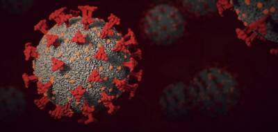 Штамм коронавируса «омикрон» по симптомам похож на грипп — Мурашко