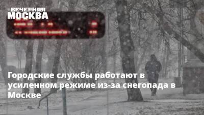 Городские службы работают в усиленном режиме из-за снегопада в Москве