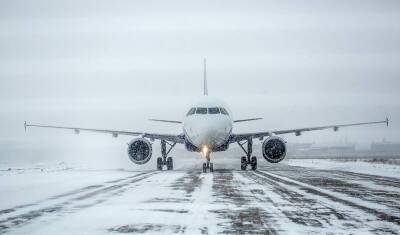 Снегопад в Москве привел к задержке 65 рейсов