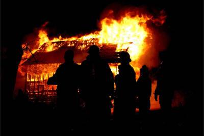 Восемь пожарных полтора часа боролись с огнем под Гатчиной
